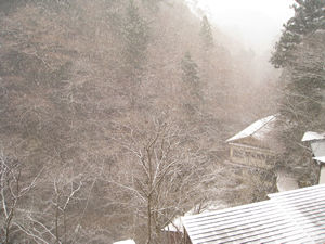 雪だ♪2007年12月17日